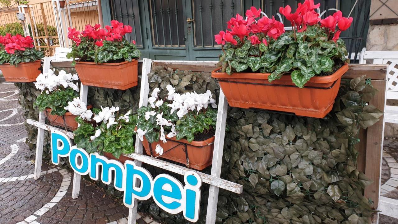 B&B Vesuvio Ruins Pompei Ngoại thất bức ảnh